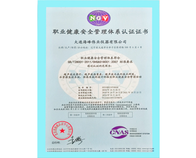 职业健康安全管理体系-中文OHSAS18001